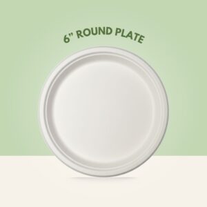 6” Round Plate