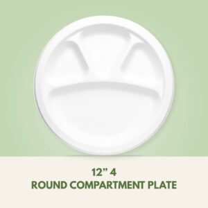 12" 4 Round Compartment Plate