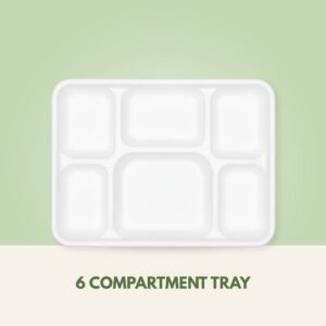 6 Compartment Tray