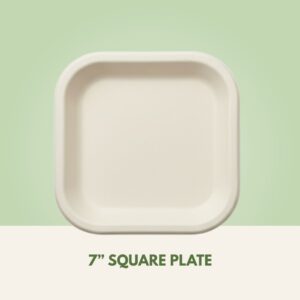 7 Square Plate