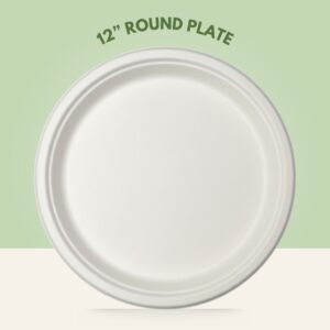 12” Round Plate
